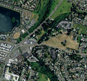 Capturing the Ride: Exploring Low-Density Flexible Transit Alternatives in Salem-Keizer